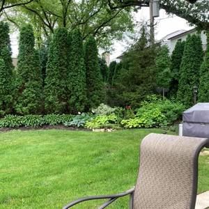 Meet your Posher, Engin